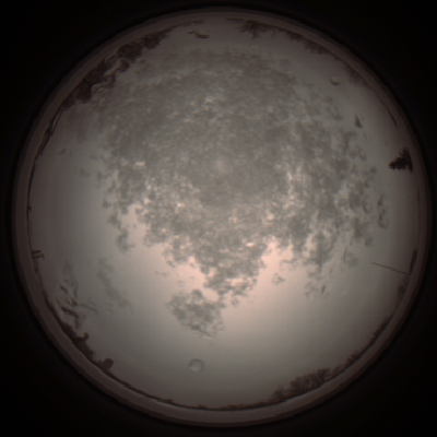 capture_202112101359_4005.Png