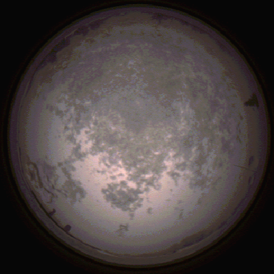 capture_202112100743_3629.Png