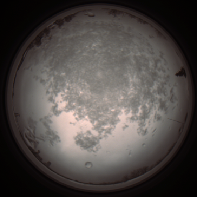 capture_202112101102_3828.Png