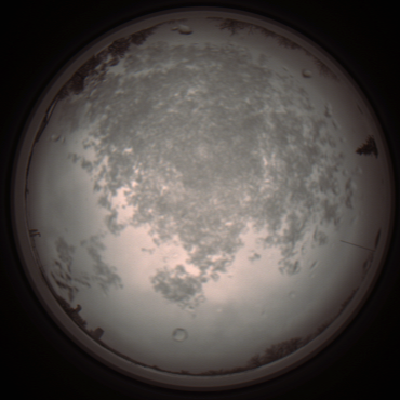 capture_202112101146_3872.Png