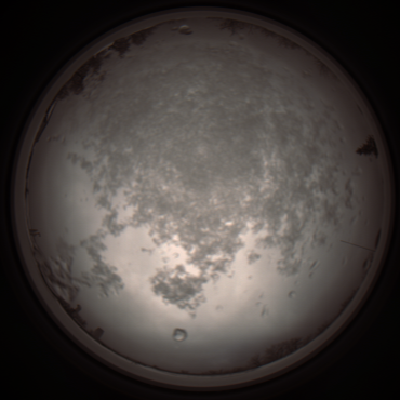 capture_202112101039_3805.Png