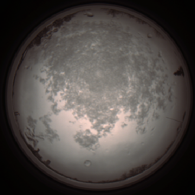 capture_202112101142_3868.Png