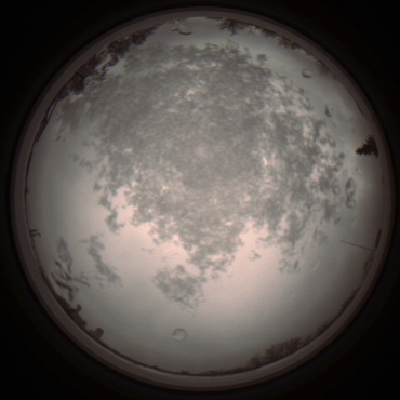 capture_202112101305_3951.Png