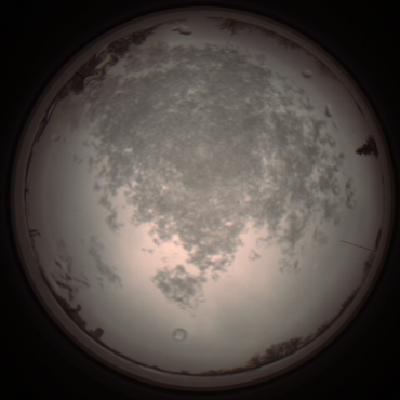 capture_202112101354_4000.Png