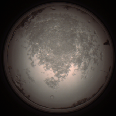 capture_202112101329_3975.Png