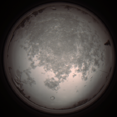 capture_202112101056_3822.Png