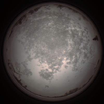 capture_202112101019_3785.Png