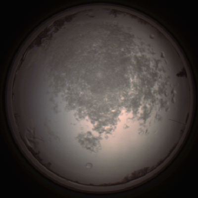 capture_202112101441_4047.Png
