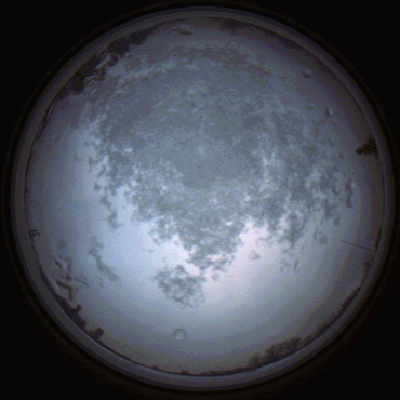 capture_202112101506_4072.Png
