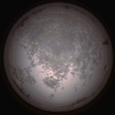 capture_202112100748_3634.Png