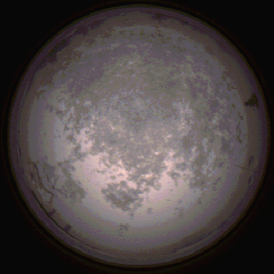 capture_202112100744_3630.Png