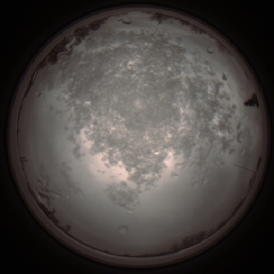 capture_202112101255_3941.Png