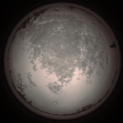 capture_202112101339_3985.Png