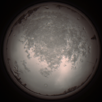 capture_202112101335_3981.Png