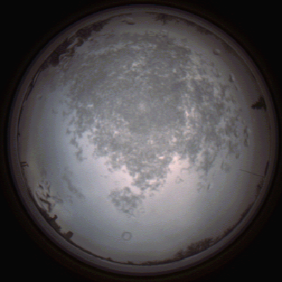capture_202112101458_4064.Png