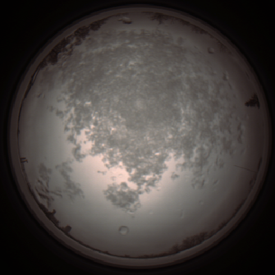 capture_202112101154_3880.Png