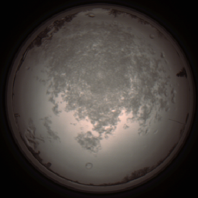 capture_202112101312_3958.Png