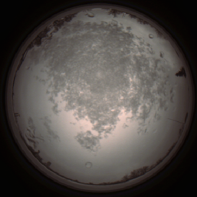 capture_202112101308_3954.Png