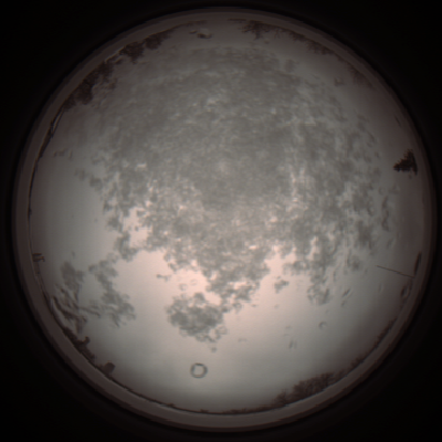 capture_202112101053_3819.Png