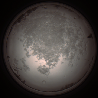 capture_202112101151_3877.Png