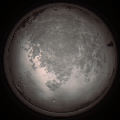 capture_202112101231_3917.Png