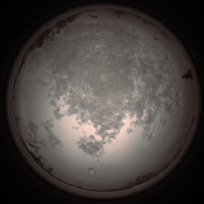 capture_202112101150_3876.Png