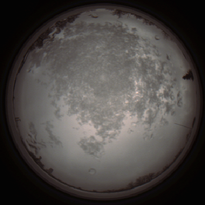 capture_202112101303_3949.Png
