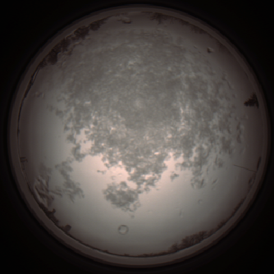 capture_202112101124_3850.Png