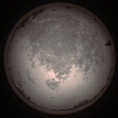 capture_202112101348_3994.Png