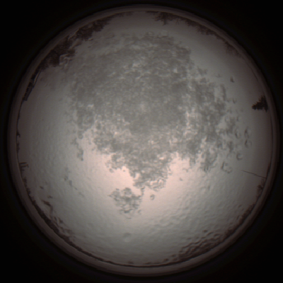 capture_202112111319_4506.Png