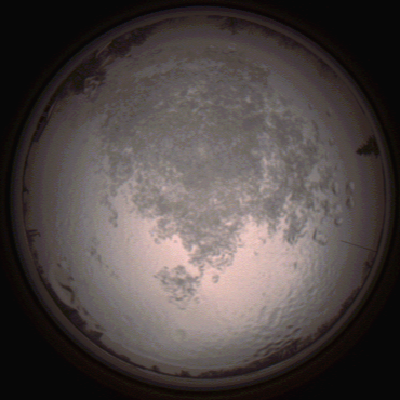 capture_202112111521_4628.Png