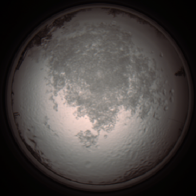 capture_202112111301_4488.Png