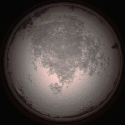 capture_202112111513_4620.Png