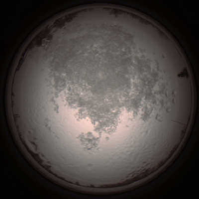 capture_202112111421_4568.Png
