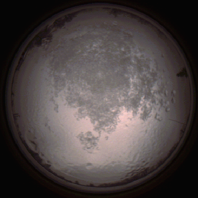 capture_202112111525_4632.Png