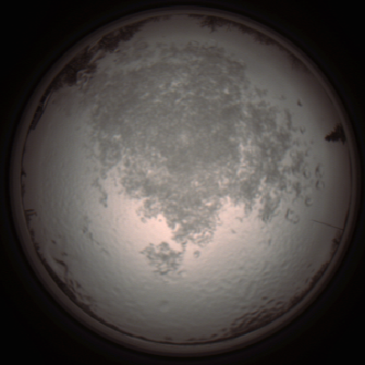 capture_202112111325_4512.Png
