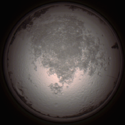 capture_202112111444_4591.Png