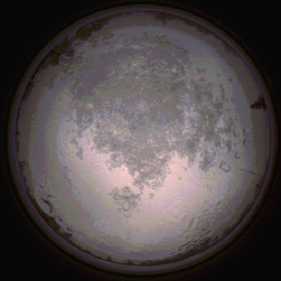 capture_202112111535_4642.Png
