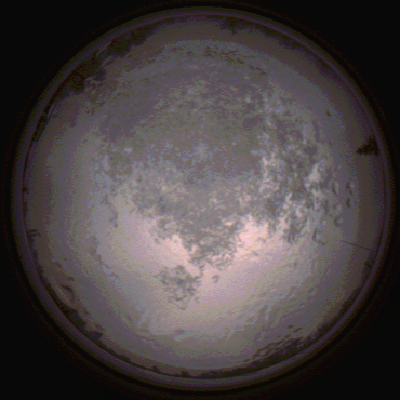 capture_202112111537_4644.Png