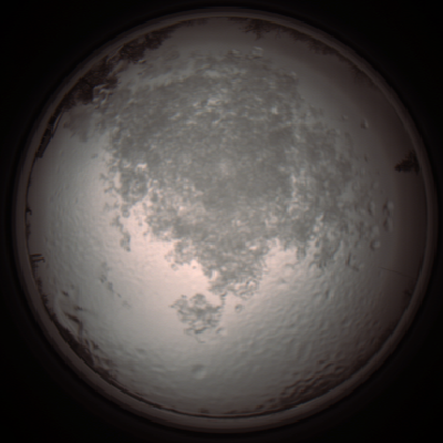capture_202112111302_4489.Png