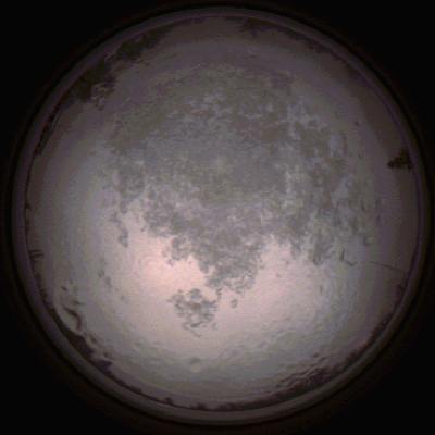 capture_202112111532_4639.Png