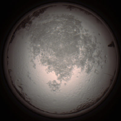 capture_202112111331_4518.Png