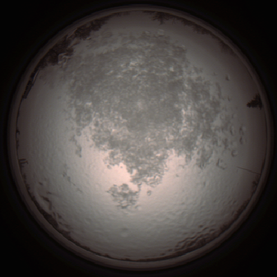 capture_202112111342_4529.Png
