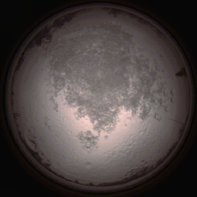 capture_202112111520_4627.Png
