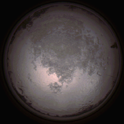 capture_202112111531_4638.Png