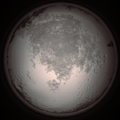 capture_202112111255_4482.Png