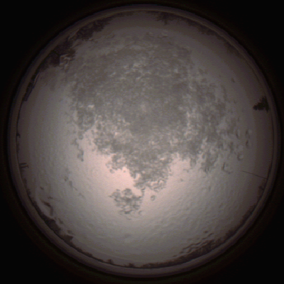 capture_202112111505_4612.Png