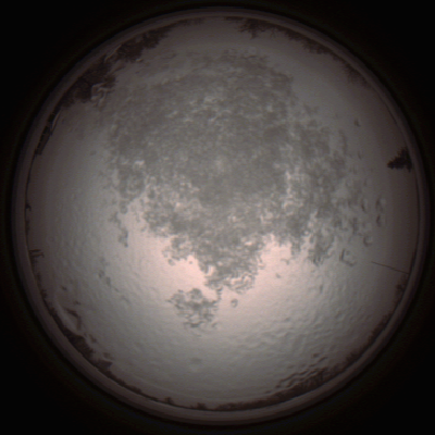 capture_202112111437_4584.Png