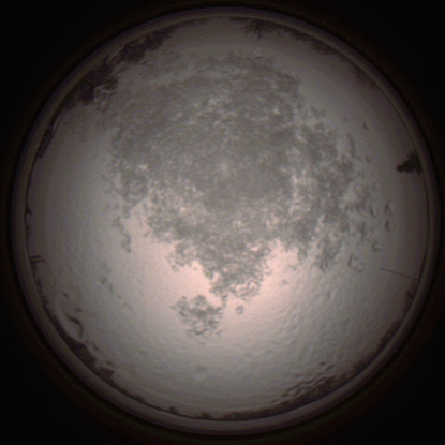 capture_202112111455_4602.Png