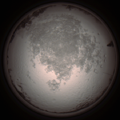 capture_202112111344_4531.Png
